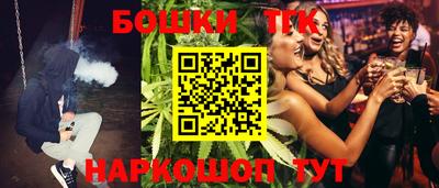 индика Лесосибирск