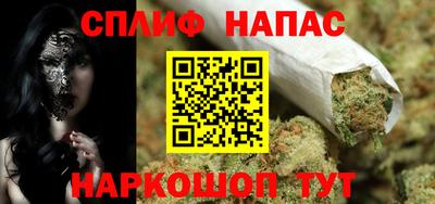 индика Лесосибирск
