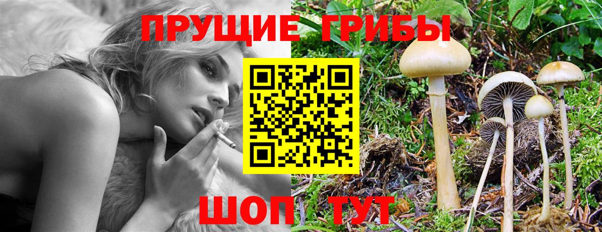 Галлюциногенные грибы Magic Shrooms  Вход с VPN  Фурманов 