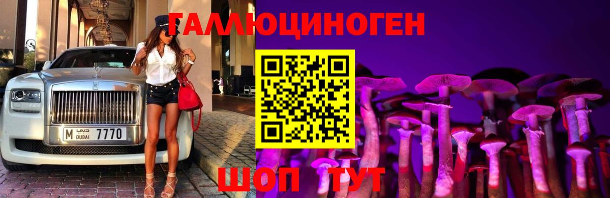 Псилоцибиновые грибы GOLDEN TEACHER Фурманов